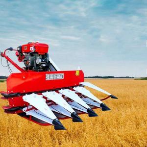 Wheat Paddy Harvester Small Harvesting Machine Reaper Rapeseeds Soybean Pepper Chia Chilli