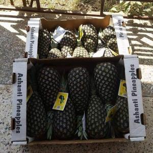 A 6-Count case . Pineapples