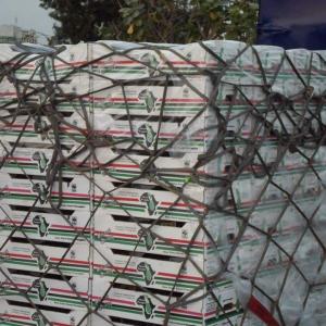 forty footer container