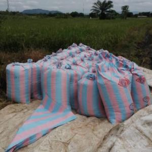 One Metric Ton of Un milled Rice